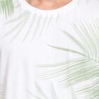 Men's 100% Cotton Round Neck Half Sleeves T-Shirt , Light Green, small image number null
